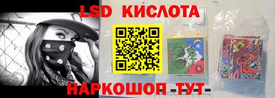 гашик Моздок