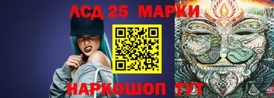 гашик Моздок