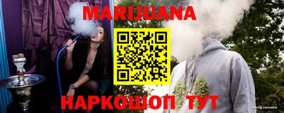 гашик Моздок