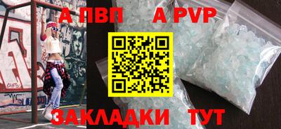 гашик Моздок