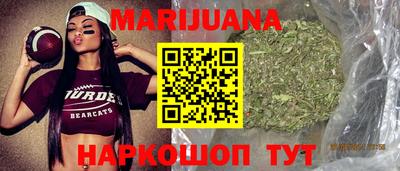 гашик Моздок