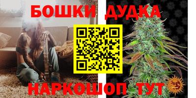 прущие крисы Можга