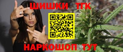 гашик Моздок