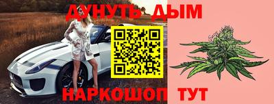 прущие крисы Можга